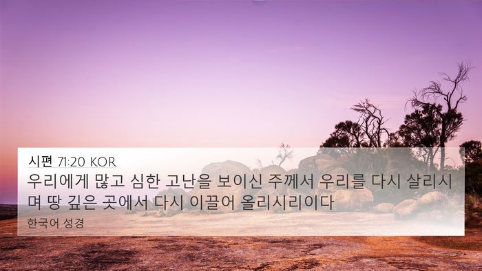 시편 71:20 KOR Bible Verse Image