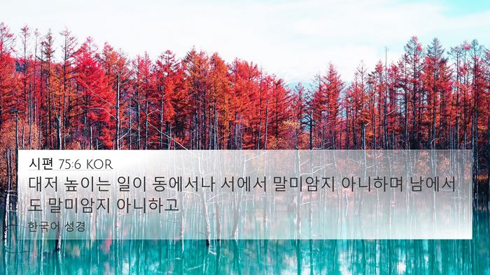 시편 75:6 KOR Bible Verse Image