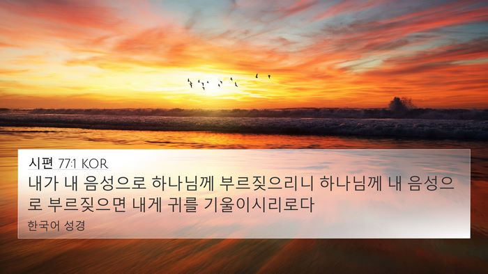 시편 77:1 KOR 4K Wallpaper - 내가 내 음성으로 하나님께 - 4K Wallpaper Bible Verse