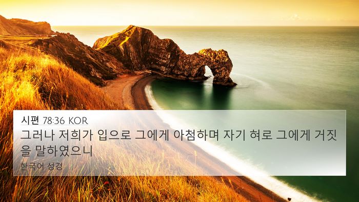 시편 78:36 KOR Bible Verse Image