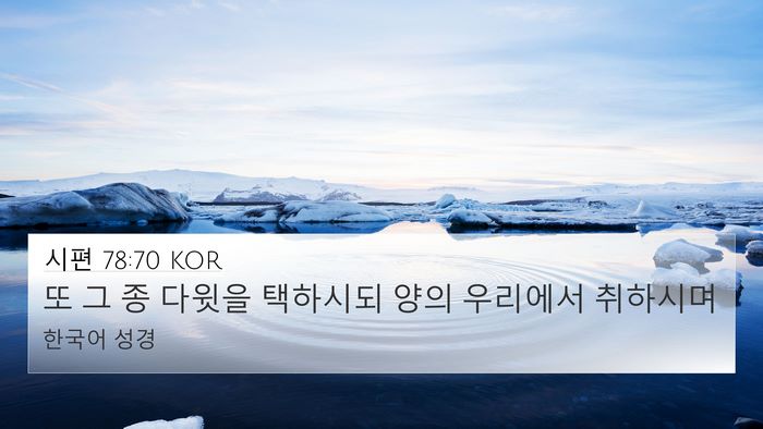 시편 78:70 KOR Bible Verse Image