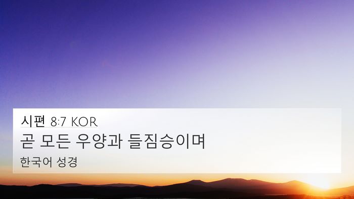 시편 8:7 KOR 4K Wallpaper - 곧 모든 우양과 - 4K Wallpaper Bible Verse