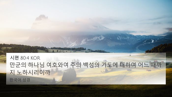 시편 80:4 KOR Bible Verse Image
