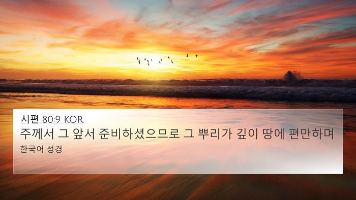 시편 80:9 KOR Bible Verse Image