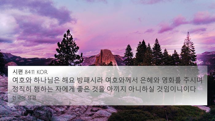 시편 84:11 KOR Bible Verse Image