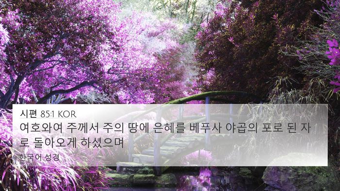 시편 85:1 KOR 4K Wallpaper - 여호와여 주께서 주의 땅에 은혜를 - 4K Wallpaper Bible Verse