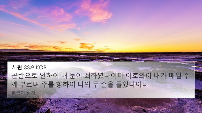 시편 88:9 KOR Bible Verse Image