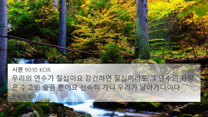 시편 90:10 KOR Bible Verse Image