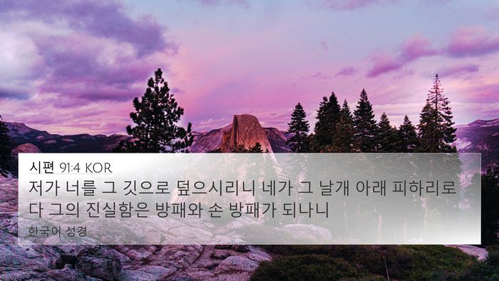 시편 91:4 KOR Bible Verse Image