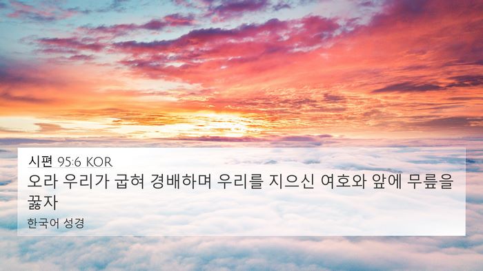 시편 95:6 KOR Bible Verse Image