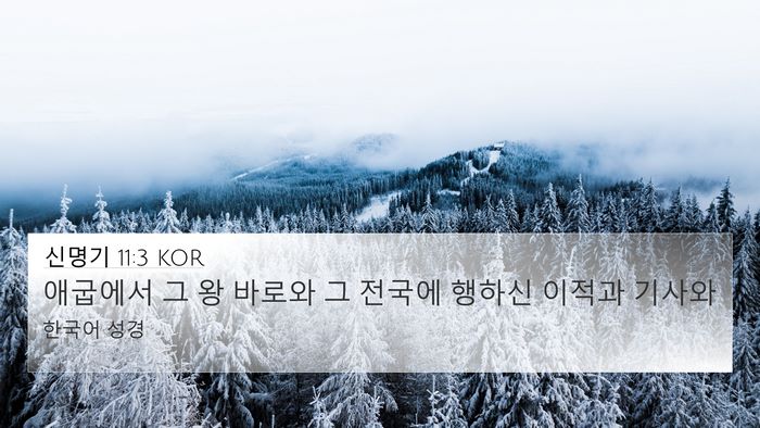 신명기 11:3 KOR 4K Wallpaper - 애굽에서 그 왕 바로와 그 전국에 - 4K Wallpaper Bible Verse
