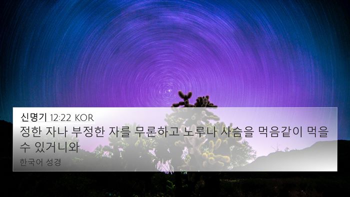 신명기 12:22 KOR 4K Wallpaper - 정한 자나 부정한 자를 무론하고 - 4K Wallpaper Bible Verse