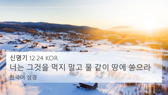 신명기 12:24 KOR Bible Verse Image
