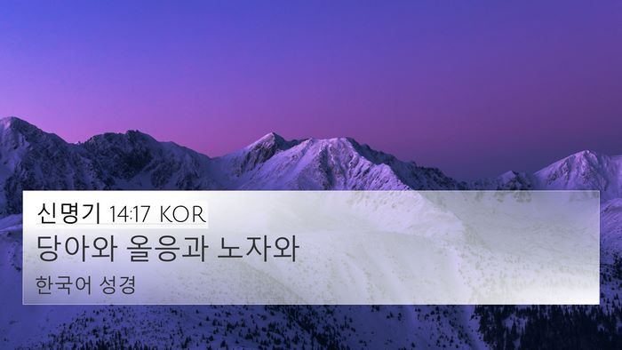 신명기 14:17 KOR 4K Wallpaper - 당아와 올응과 - 4K Wallpaper Bible Verse