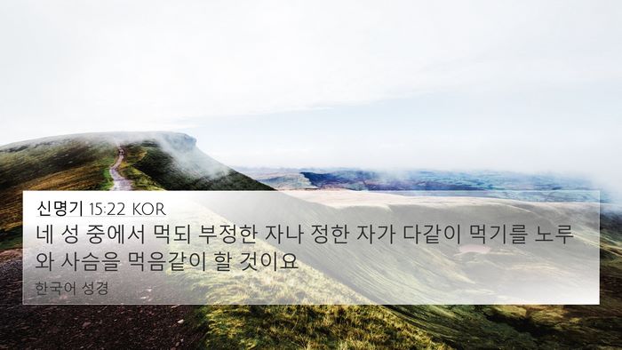 신명기 15:22 KOR 4K Wallpaper - 네 성 중에서 먹되 부정한 자나 정한 - 4K Wallpaper Bible Verse
