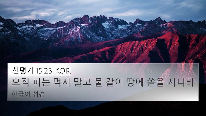 신명기 15:23 KOR Bible Verse Image