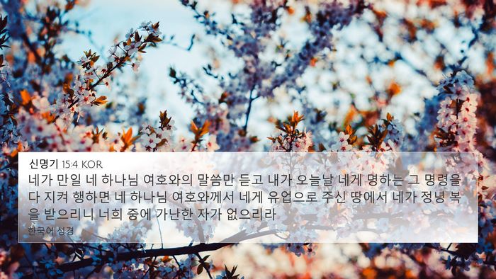 신명기 15:4 KOR Bible Verse Image