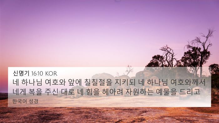 신명기 16:10 KOR Bible Verse Image