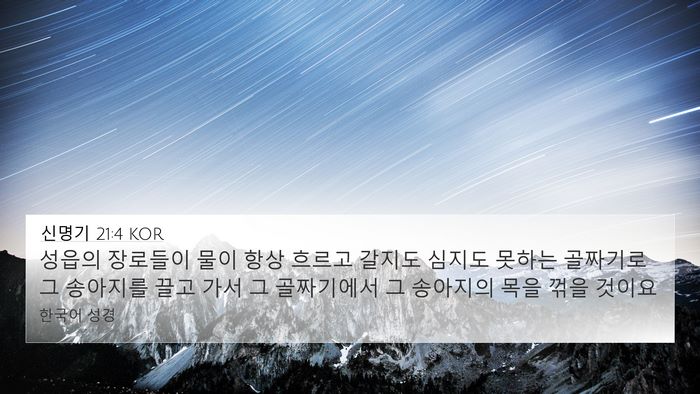 신명기 21:4 KOR 4K Wallpaper - 성읍의 장로들이 물이 항상 흐르고 - 4K Wallpaper Bible Verse