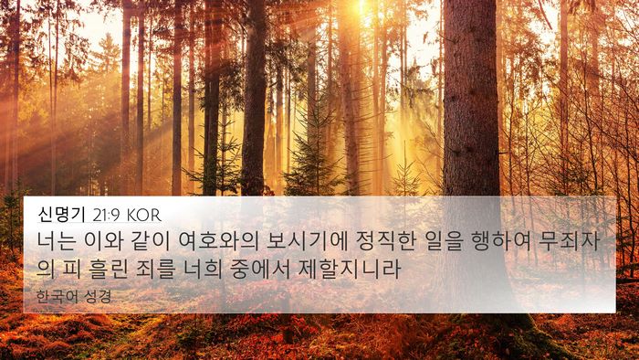 신명기 21:9 KOR Bible Verse Image