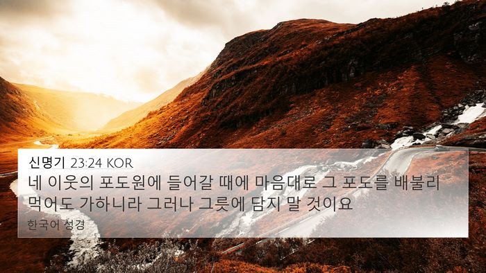 신명기 23:24 KOR 4K Wallpaper - 네 이웃의 포도원에 들어갈 때에 - 4K Wallpaper Bible Verse