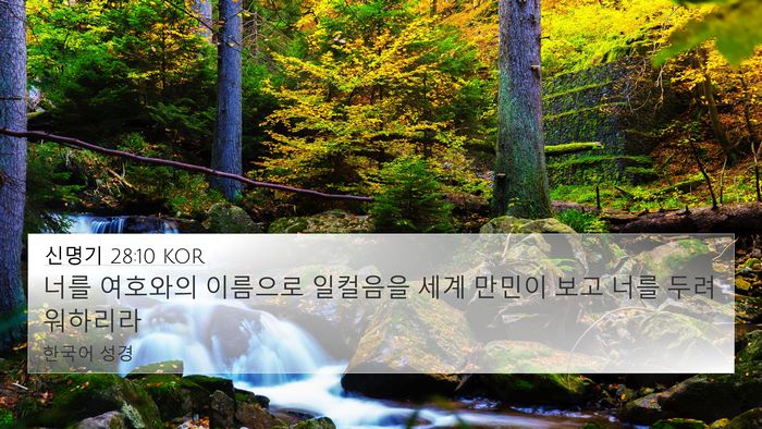 신명기 28:10 KOR Bible Verse Image