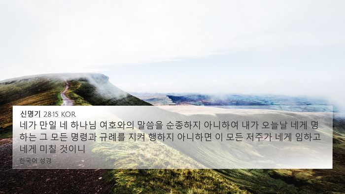 신명기 28:15 KOR Bible Verse Image