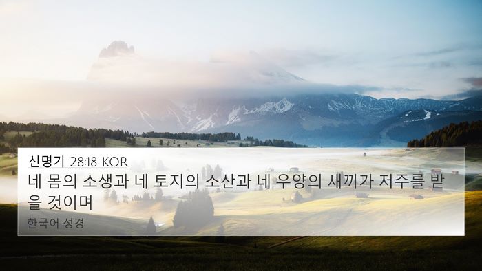 신명기 28:18 KOR Bible Verse Image