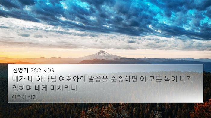 신명기 28:2 KOR Bible Verse Image