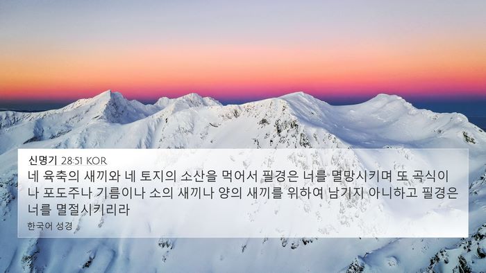 신명기 28:51 KOR Bible Verse Image
