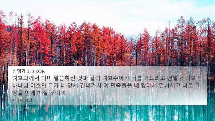신명기 31:3 KOR Bible Verse Image