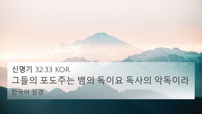 신명기 32:33 KOR Bible Verse Image