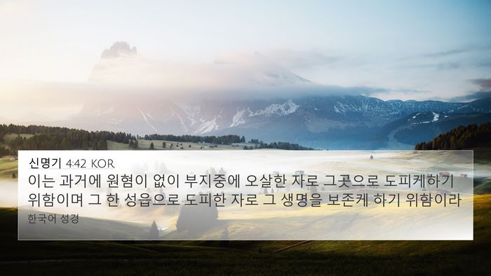 신명기 4:42 KOR Bible Verse Image