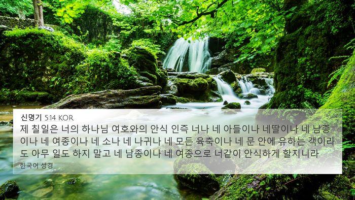 신명기 5:14 KOR Bible Verse Image