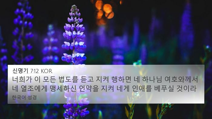 신명기 7:12 KOR Bible Verse Image