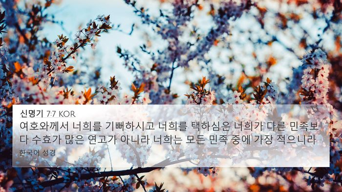 신명기 7:7 KOR Bible Verse Image