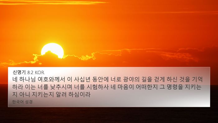 신명기 8:2 KOR Bible Verse Image