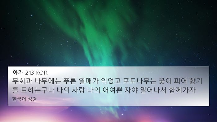 아가 2:13 KOR 4K Wallpaper - 무화과 나무에는 푸른 열매가 익었고 - 4K Wallpaper Bible Verse