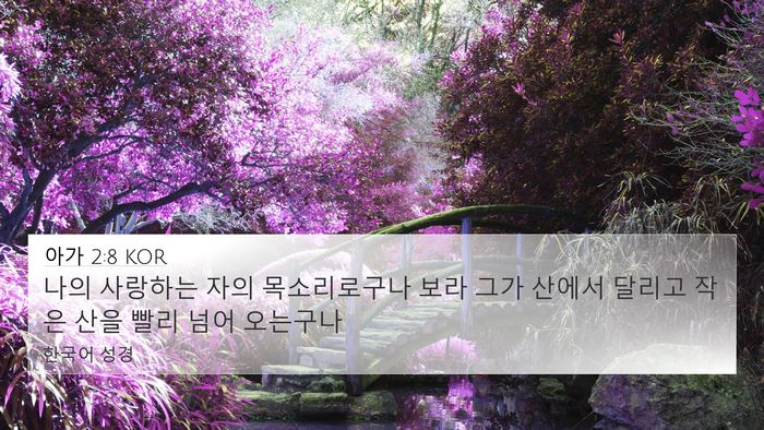 아가 2:8 KOR Bible Verse Image