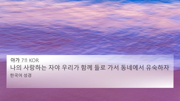 아가 7:11 KOR Bible Verse Image