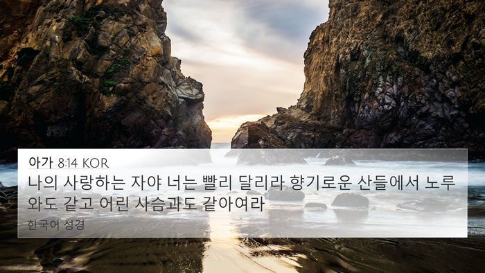 아가 8:14 KOR Bible Verse Image