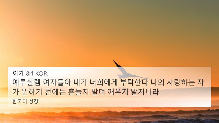 아가 8:4 KOR Bible Verse Image