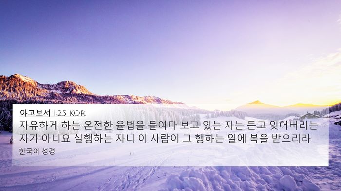 야고보서 1:25 KOR Bible Verse Image