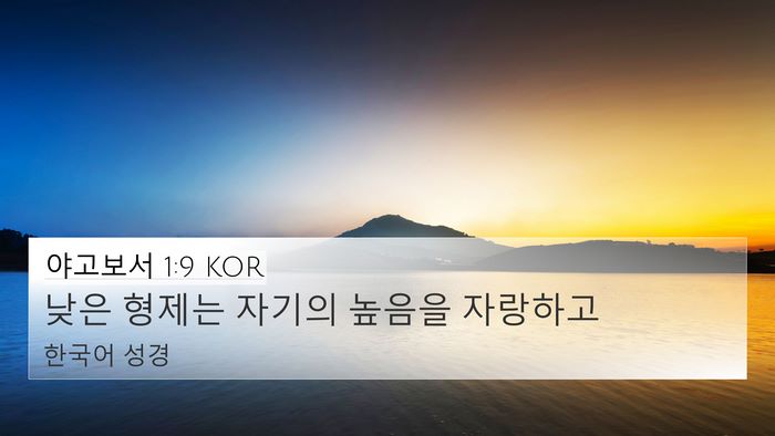 야고보서 1:9 KOR Bible Verse Image