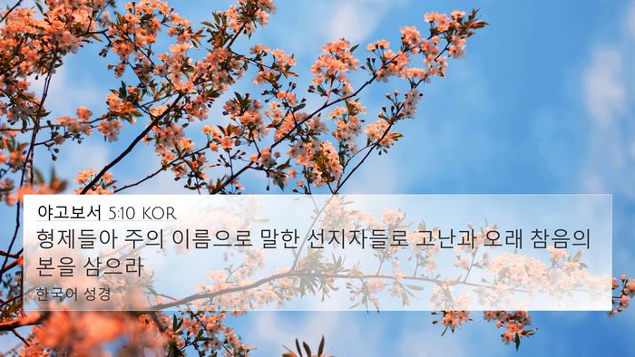 야고보서 5:10 KOR Bible Verse Image