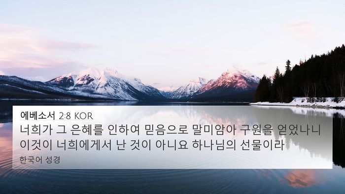 에베소서 2:8 KOR Bible Verse Image