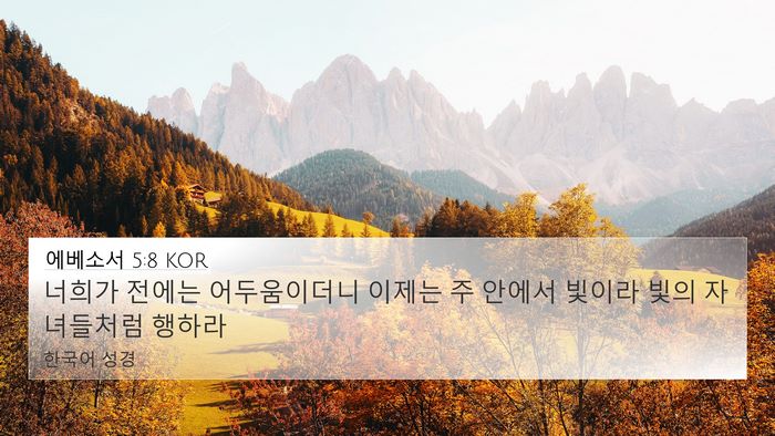에베소서 5:8 KOR Bible Verse Image