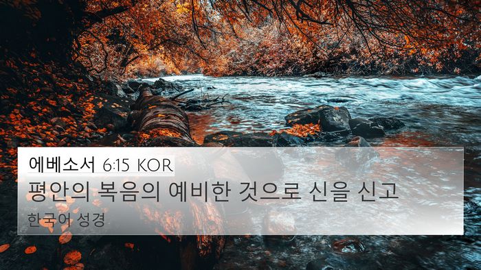 에베소서 6:15 KOR Bible Verse Image