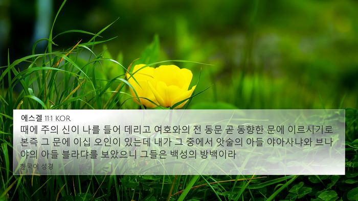 에스겔 11:1 KOR Bible Verse Image