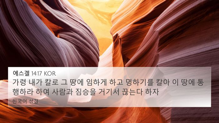 에스겔 14:17 KOR Bible Verse Image